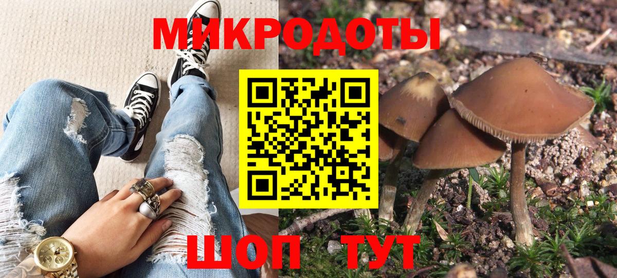 Псилоцибиновые грибы Psilocybine cubensis Тюмень