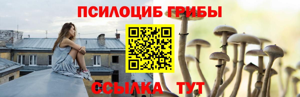 Тюмень  где найти наркотики  Псилоцибиновые грибы Psilocybine cubensis  Вход с VPN  Псилоцибиновые грибы Psilocybe 